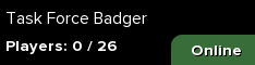 Task Force Badger