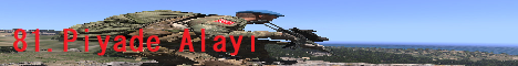 81. Piyade Alayı ARMA